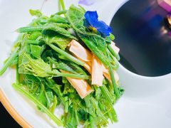 -蒙料·手把肉(望京店)