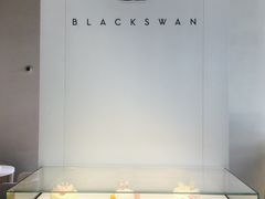 -BLACKSWAN黑天鹅(环球店)