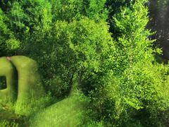 -塞罕坝国家级自然保护区