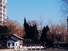 -团结湖公园