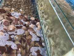 -港畔赶海蒸汽海鲜烧烤自助(仙螺岛店)