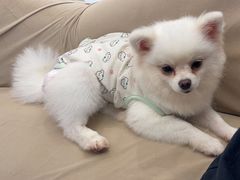 -怪兽屋·羊驼·猫咖·狗咖(俊华广场店)