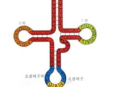 -Xcape异时刻密室逃脱真人NPC(新世界百货崇文店)