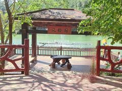 -广州白江湖森林公园