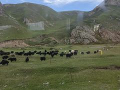 -橡皮山