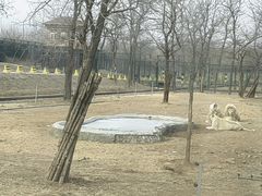 -秦皇岛野生动物园
