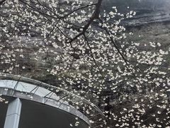 -十九峰景区