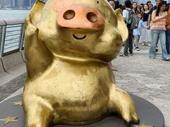 -星光大道