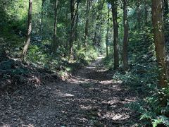 -西湖风景区十里琅珰-五云山