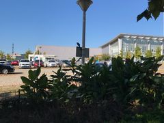 -风情丽江斑鱼火锅(孙家沟西南路80号店)