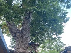 -九龙湾·御膳坊(九龙窠路店)