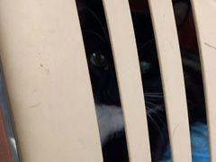 -纳吉亚猫专科动物医院·北北分院