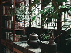 -月栖华明-云间草堂清茶馆(泗泾古镇店)