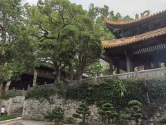 -普陀山风景名胜区-法雨禅寺
