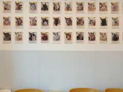 -有喵·猫咖·狗咖·40+猫狗有小奶狗(岗厦店)