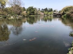 -西湖外事游船(花港观鱼码头)