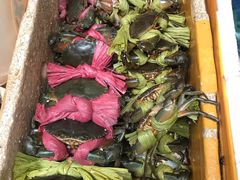 -青石桥市场北1-27号