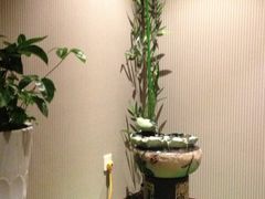 -荷源养生坊(博山东路店)