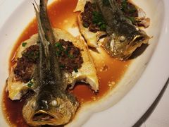 鸡油蒸仙子鱼-悦海堂(金融街购物中心店)