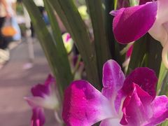 -团泊镇示范集贸市场