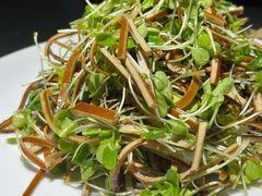 -向川南·水煮鱼·川菜(和平里店)