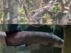 -香港海洋公园