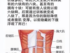 -UP健身私教馆(南山书城店)