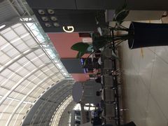 -上海市第一人民医院(松江南部)