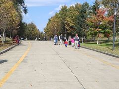 -长春世界雕塑园冰雪艺术天地
