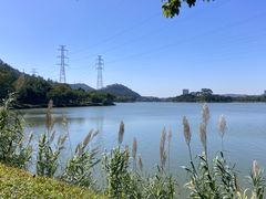 -顺峰山公园