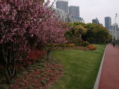 -北外滩滨江绿地