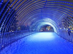 -长春世界雕塑园冰雪艺术天地