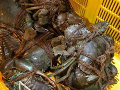 -龙海鲜螃蟹王(宏茂桥店)