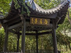 -合肥滨湖国家森林公园