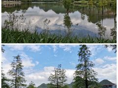 -南宁花花大世界景区