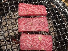 -300杯·和牛烧肉清酒专门店(廊里店)