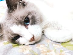 -谢先生酒店·椒宴集(沙湖店)