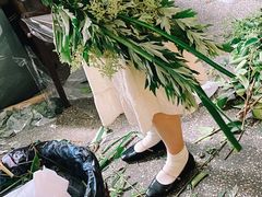 -知物癖(牛王庙店)