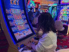 -拉斯维加斯永利酒店