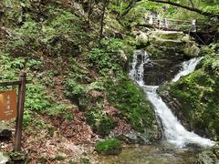 -本溪汤沟绿石谷森林公园