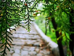 -阳台山自然风景区