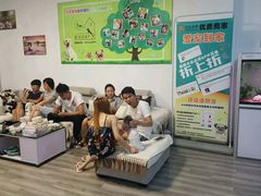 -翊宠yipet猫狗购宠庄园犬舍•猫舍