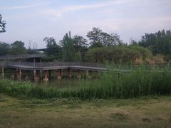 -白鹭湾湿地公园