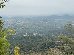 -北京鹫峰国家森林公园