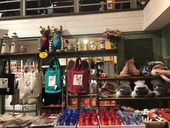 -猫咪博物馆(顶澳仔猫街店)