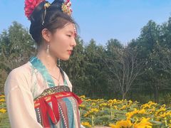 -金卉庄园