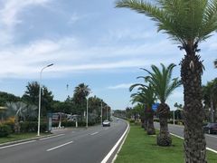 -椰风寨