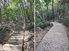 -上海佘山国家森林公园天马山园