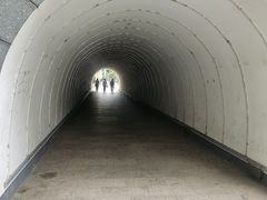 -扬州大运河文化旅游度假区·盆景园