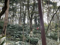 -忠山公园